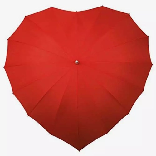 Heart Shaped Umbrella #valentinesdaygifts